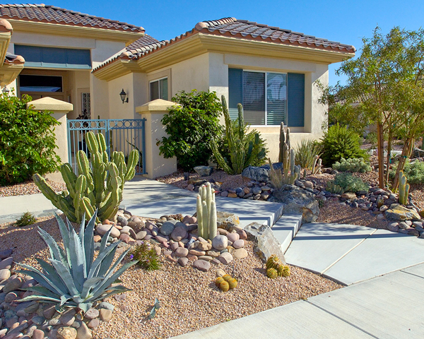 Water-Efficient Front Yard
