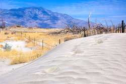 Sand Dune