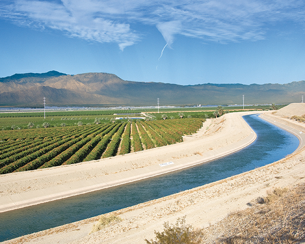 Coachella Canal Next to Field