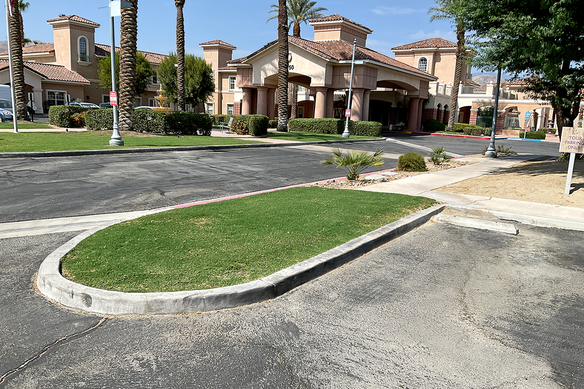 Nonfunctional Turf Example in Parking Lot