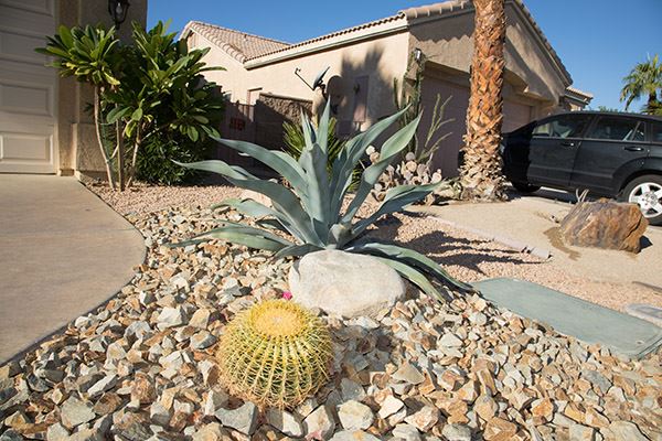 Fall 2016 Most Beautiful Yard Contest Julia Strickland