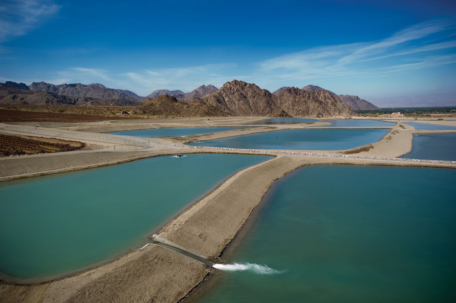 Levy Facility Opens in new window