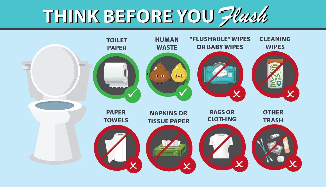 Think_Before_You_Flush_Graphic