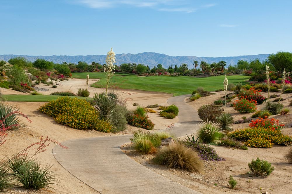 Golf desert landscaping