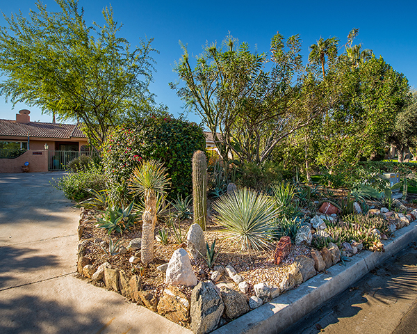 Desert landscape home