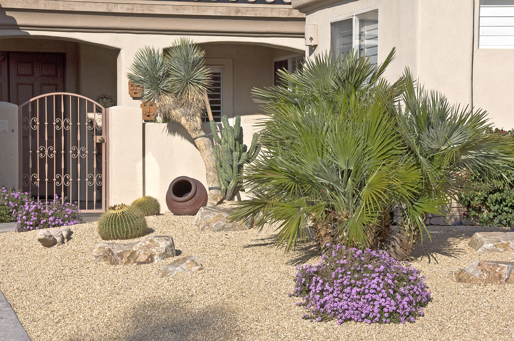 Front Garden Going Native